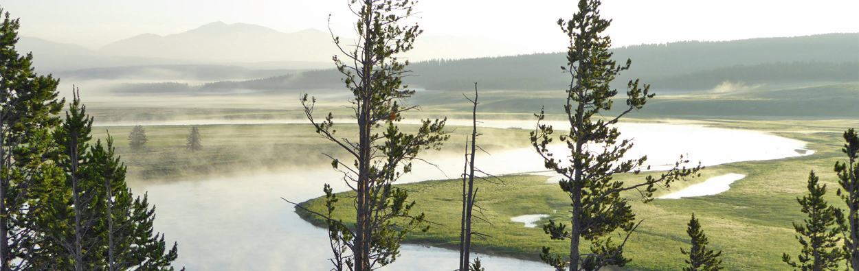 Morning river, Yellowstone, Wyoming.